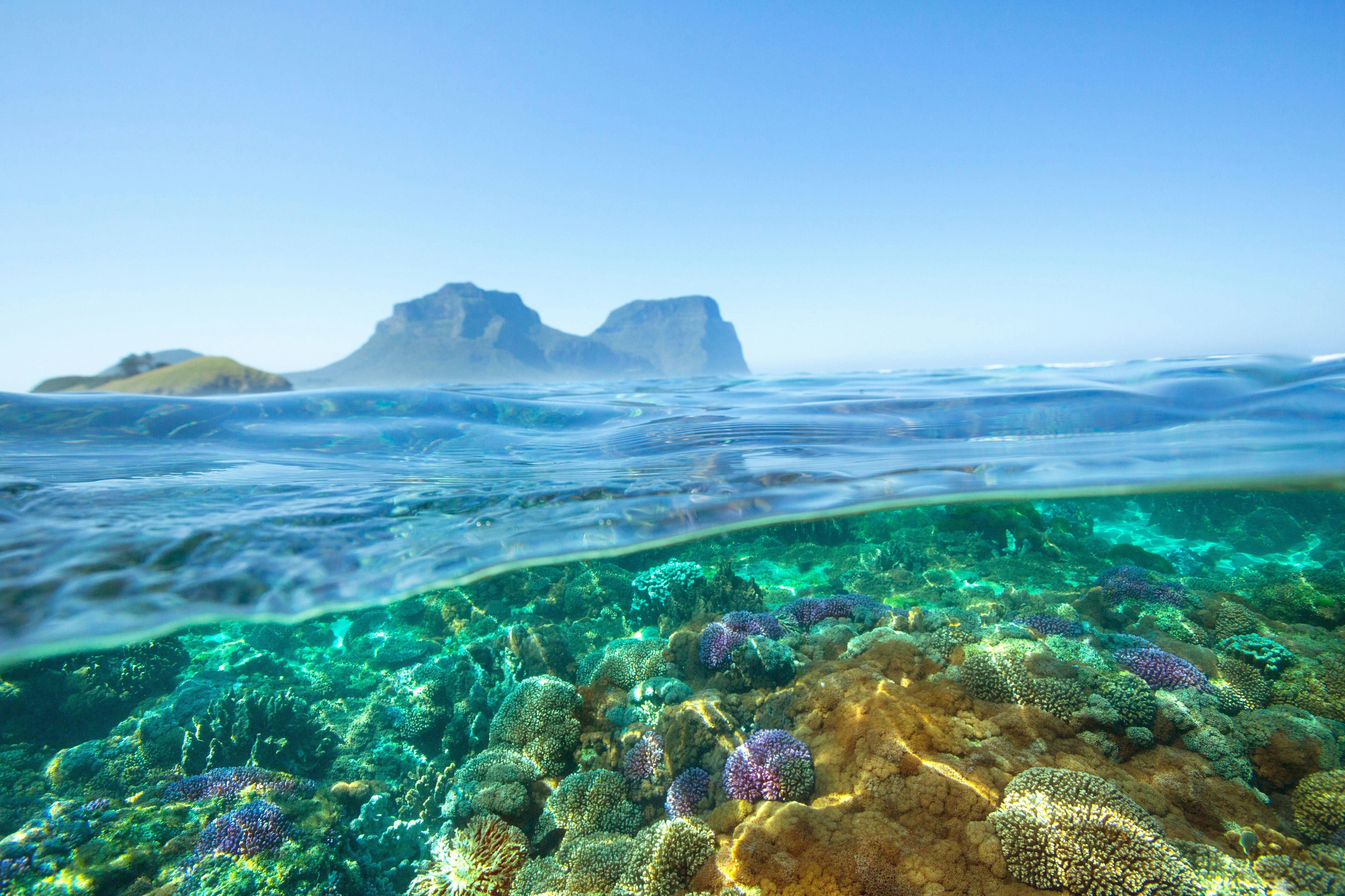 Long Lunch on Lord Howe Island