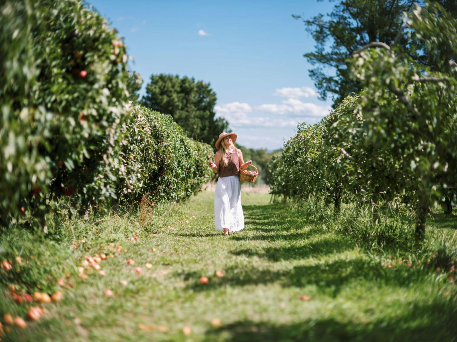 Trees and Vines Tour