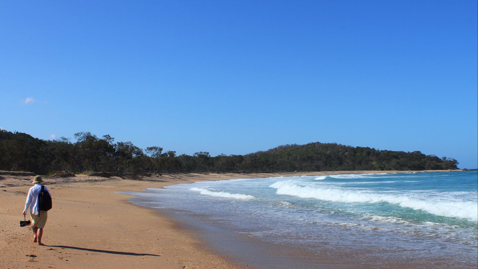Pebbly Beach Clarence Valley