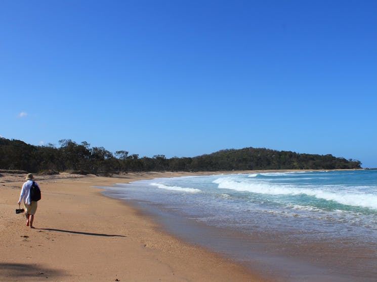 Northern aspect, Pebbly Beach.