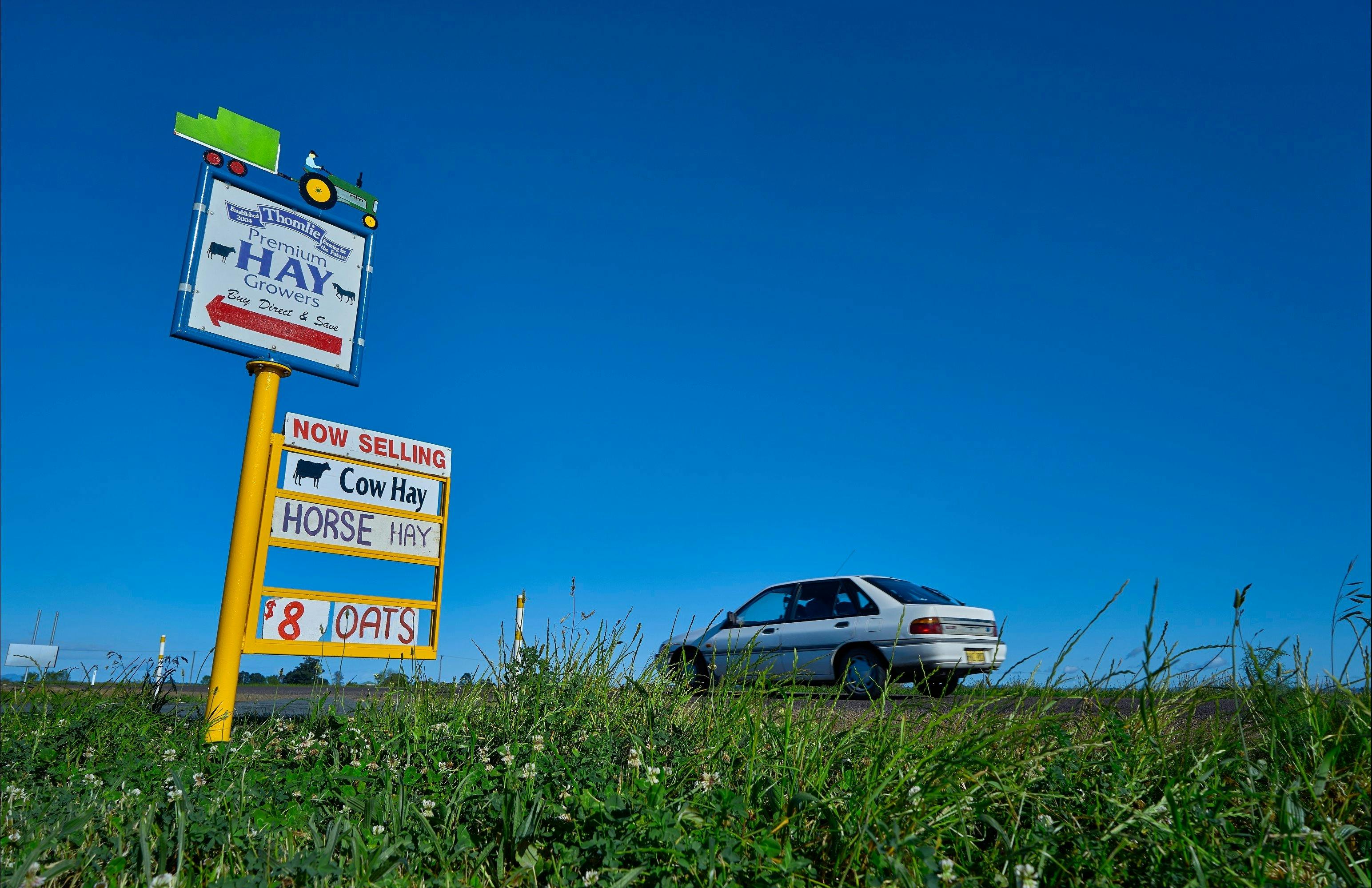 Maitland, Phoenix park