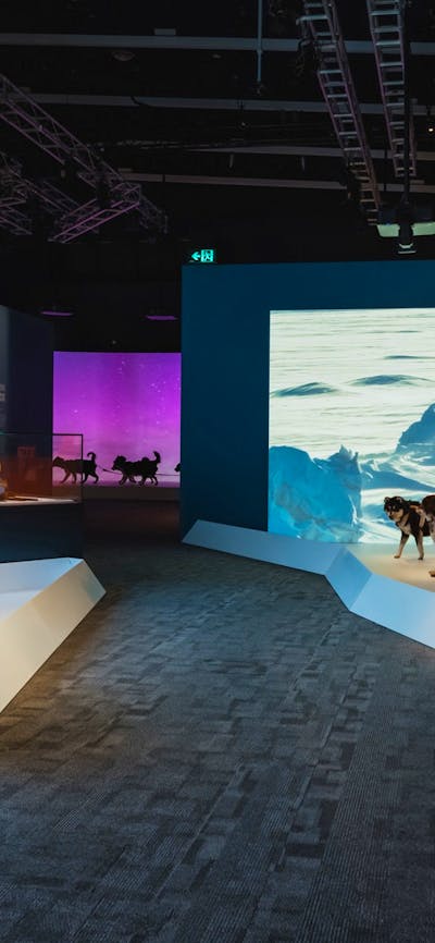 Inside Antarctica exhibition with a view of objects on display.