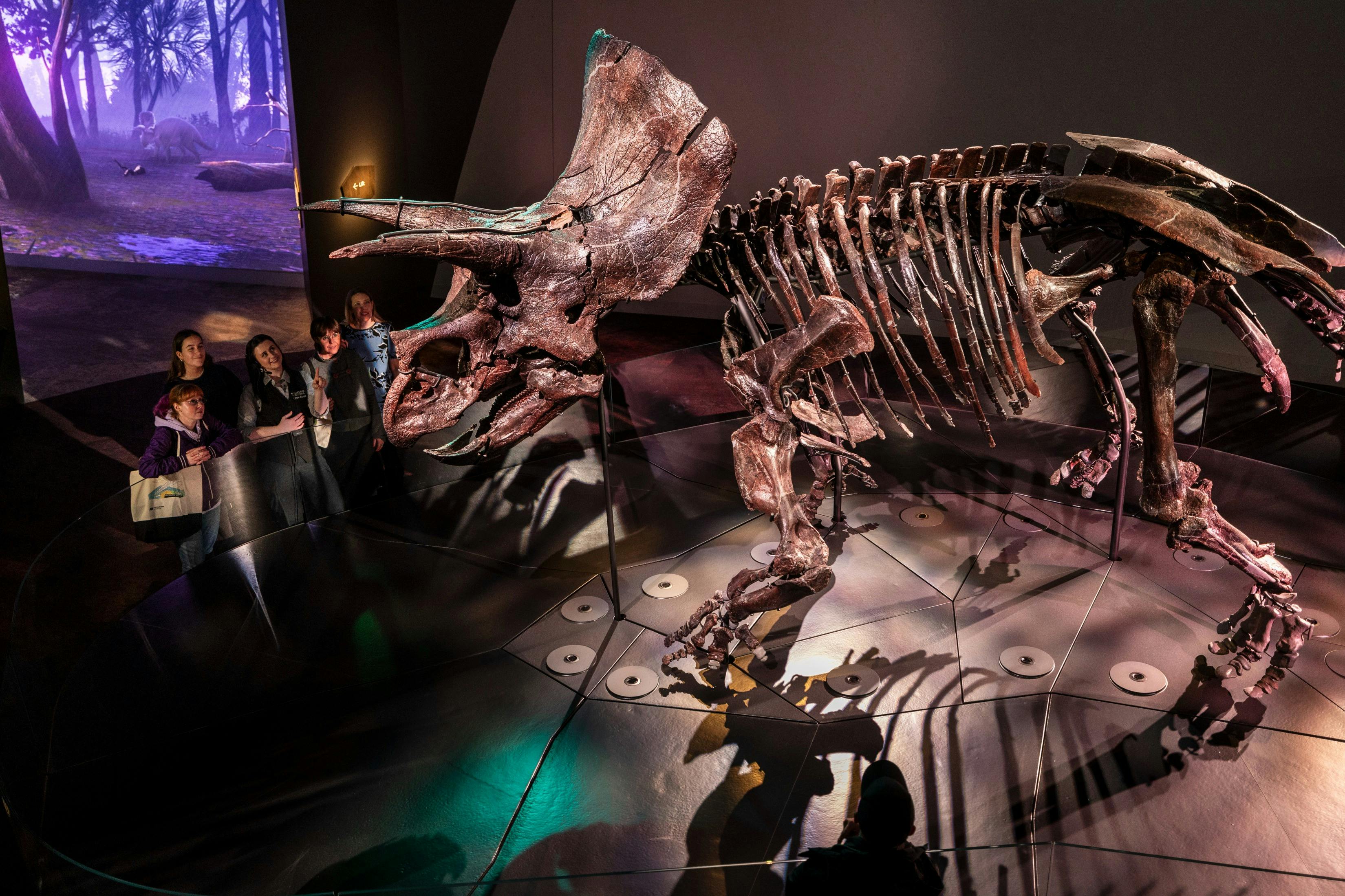 Home of Dinosaurs Tour - Melbourne Museum