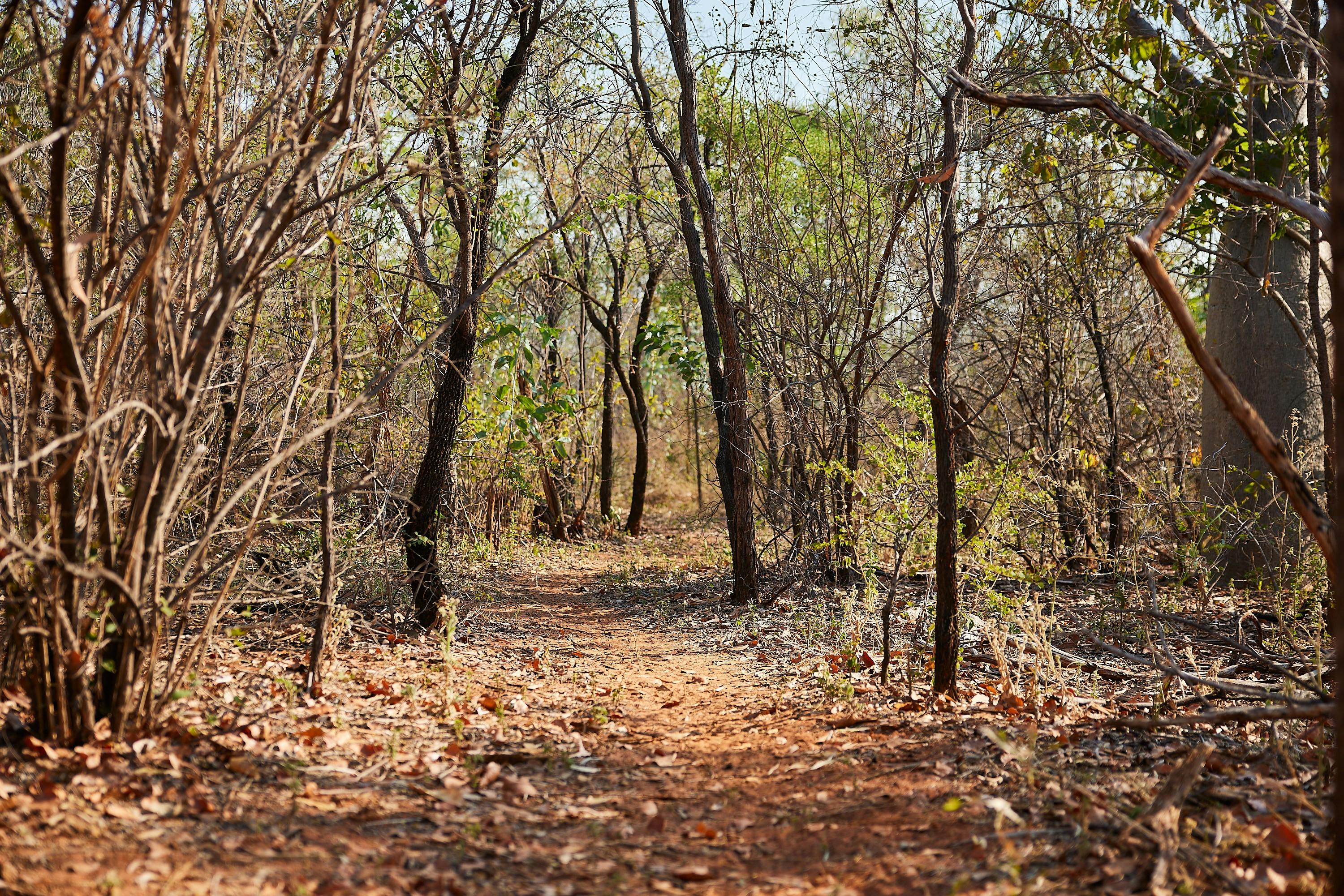 Joon Joo Botanical Trail