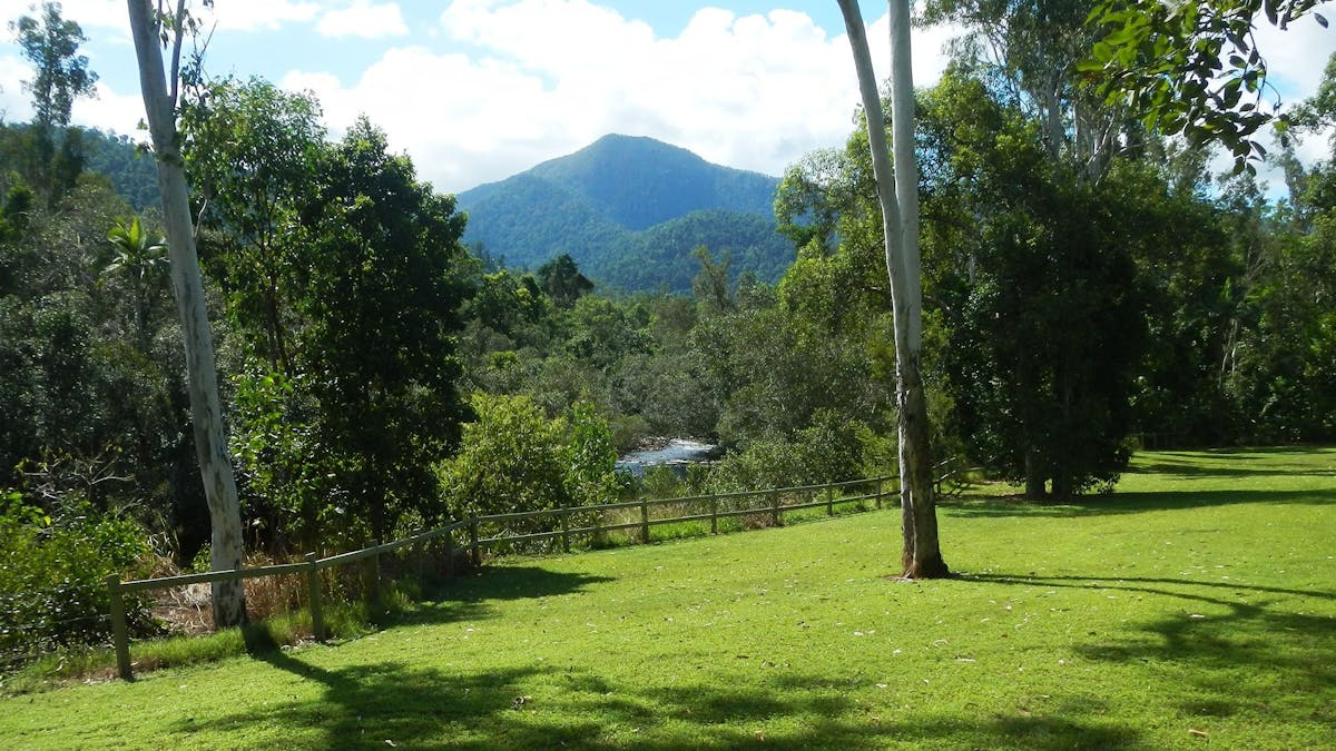 Grassy area surrounded by shady trees looking out to mountain in background Grassy area surrounded by shady trees looking out to mountain in background