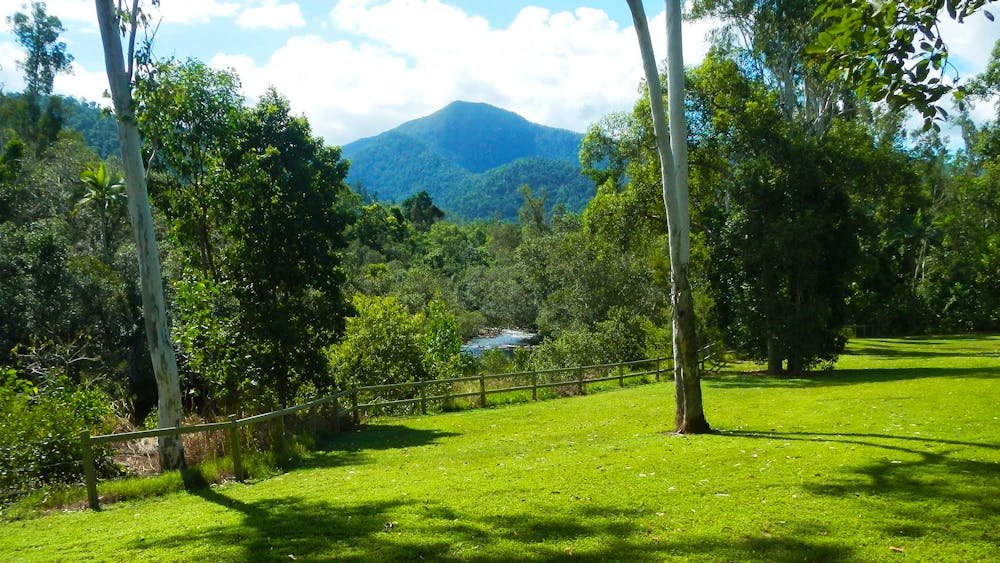 Broadwater, Abergowrie State Forest