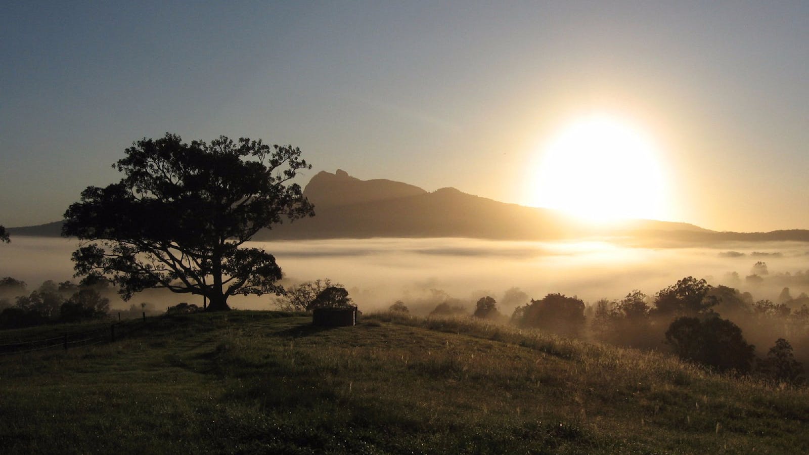 Wollumbin-Mount Warning National Park
