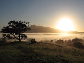 Wollumbin-Mount Warning National Park