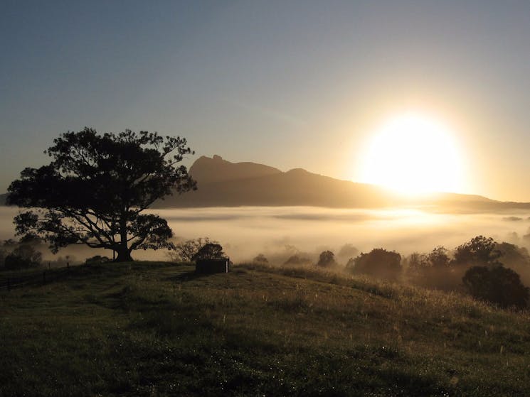 Sunrise, Wollumbin National Park