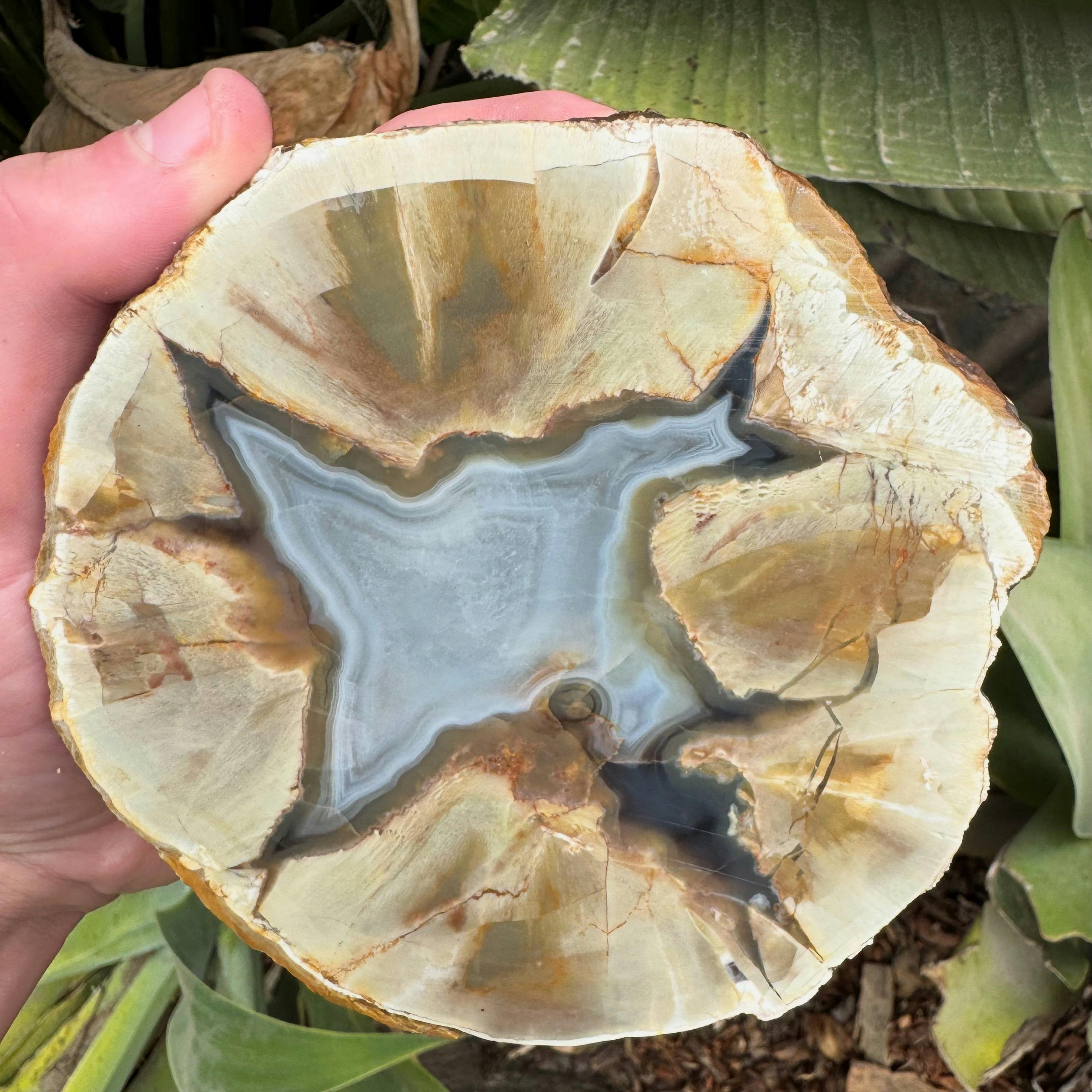 Thunderegg