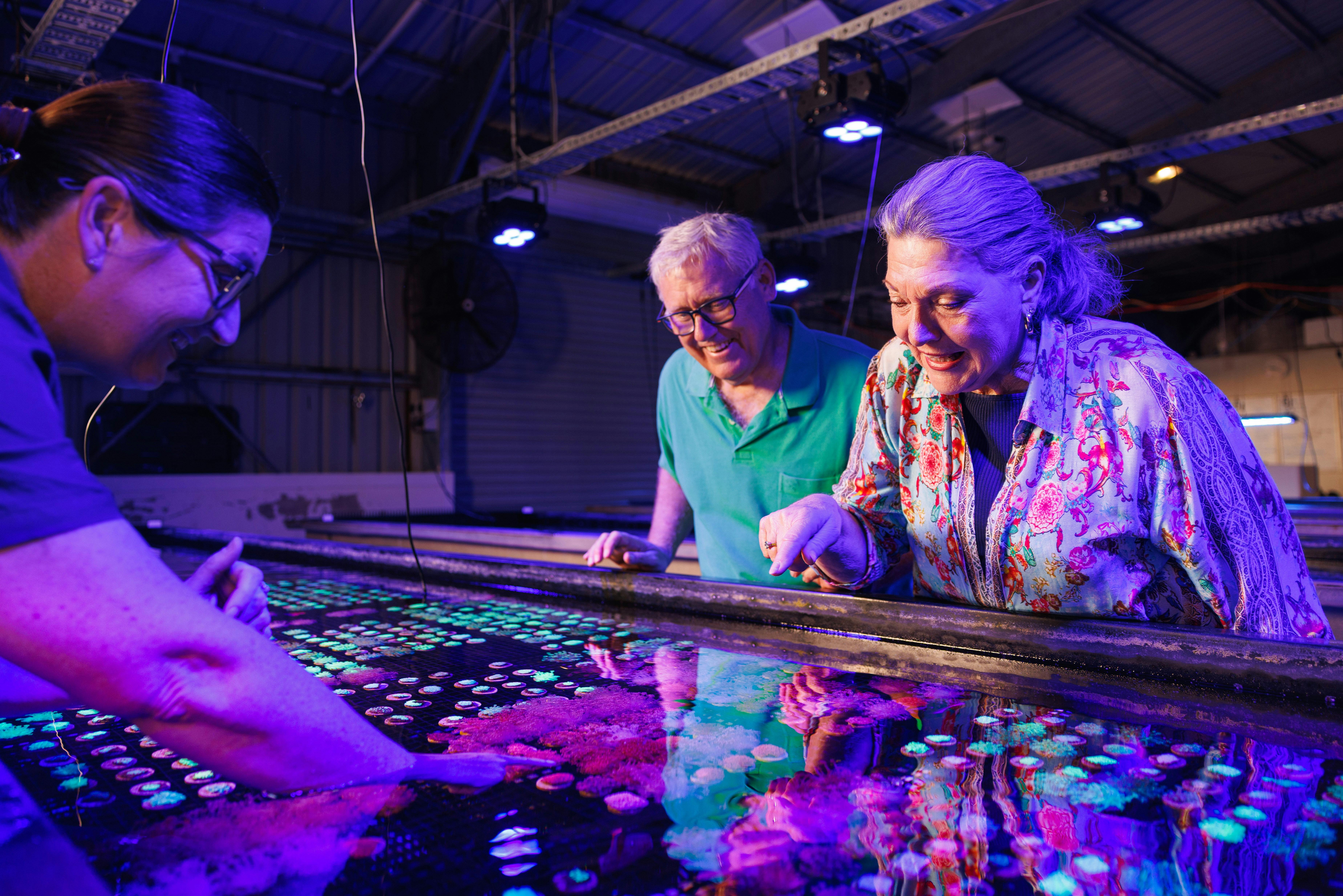 Accessible tours for all ages and abilities