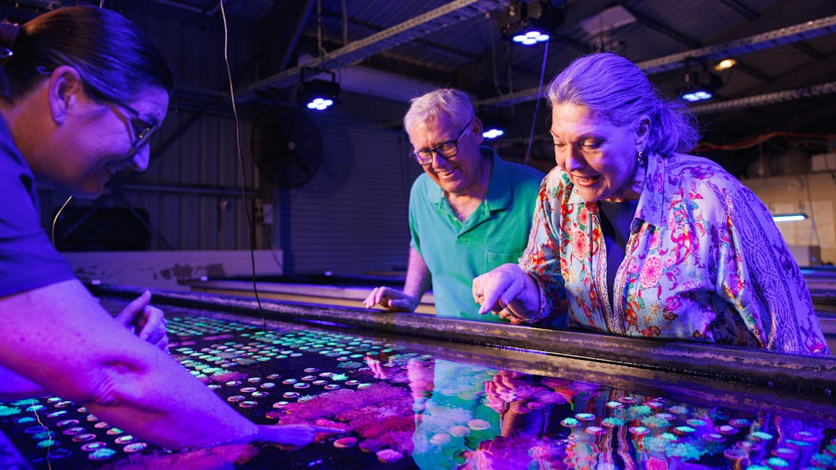 Accessible tours for all ages and abilities