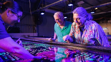 Accessible tours for all ages and abilities