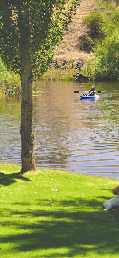 The Lions Junction Park, where two rivers meet, just out of Tumut