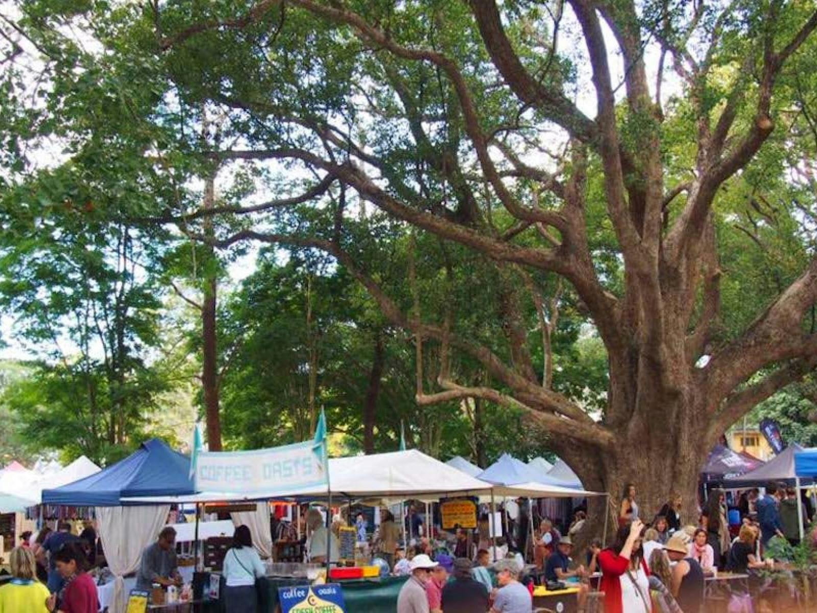 People looking at stalls under trees