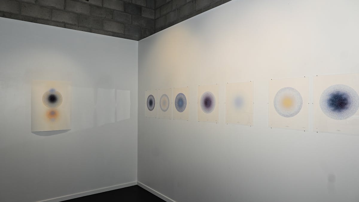 Installation image of Alethea Richter: Pulse Systems exhibition