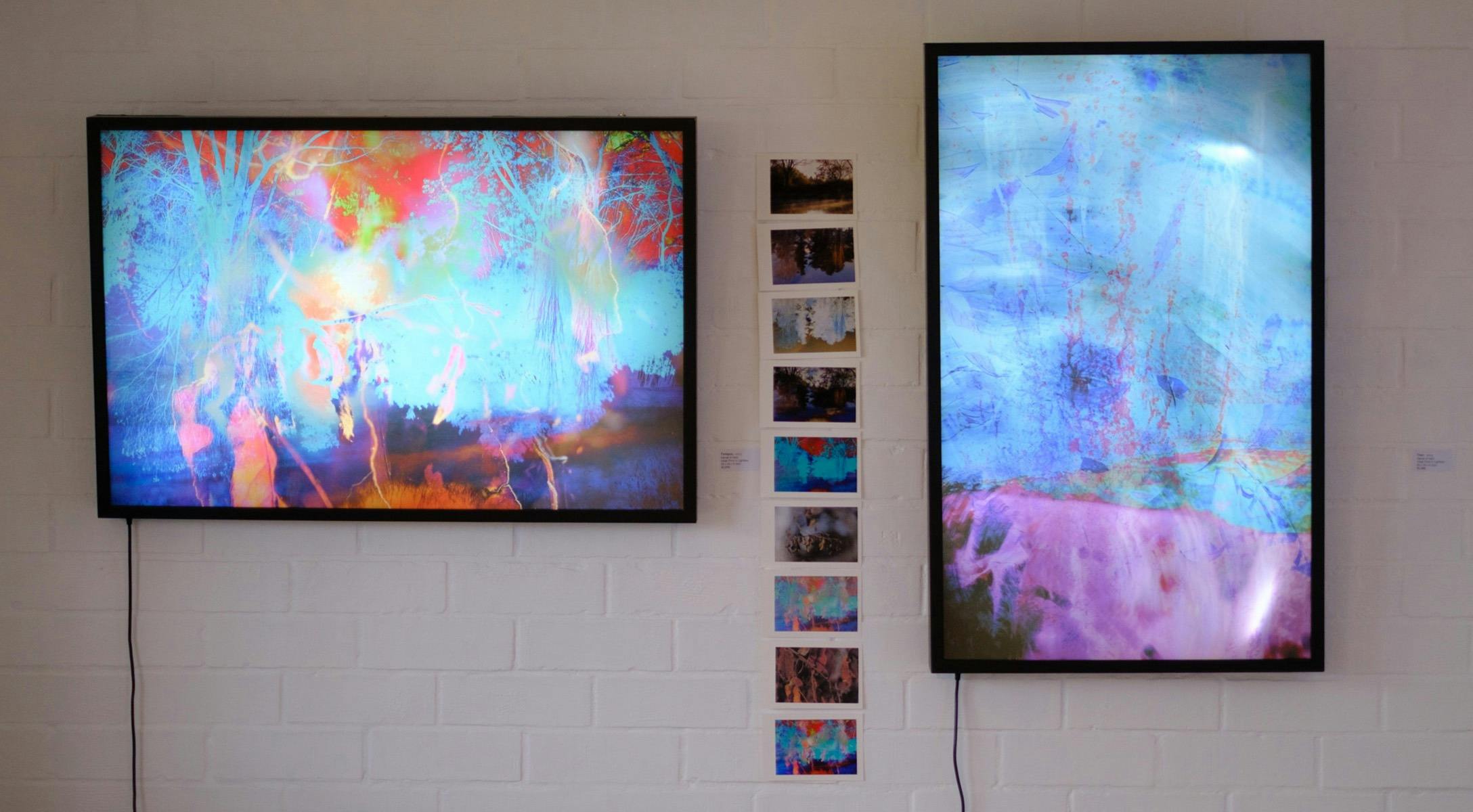 Illuminated lightboxes in a gallery