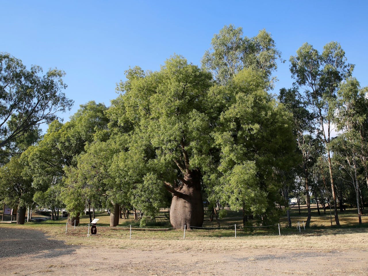 Roma Outback Queensland