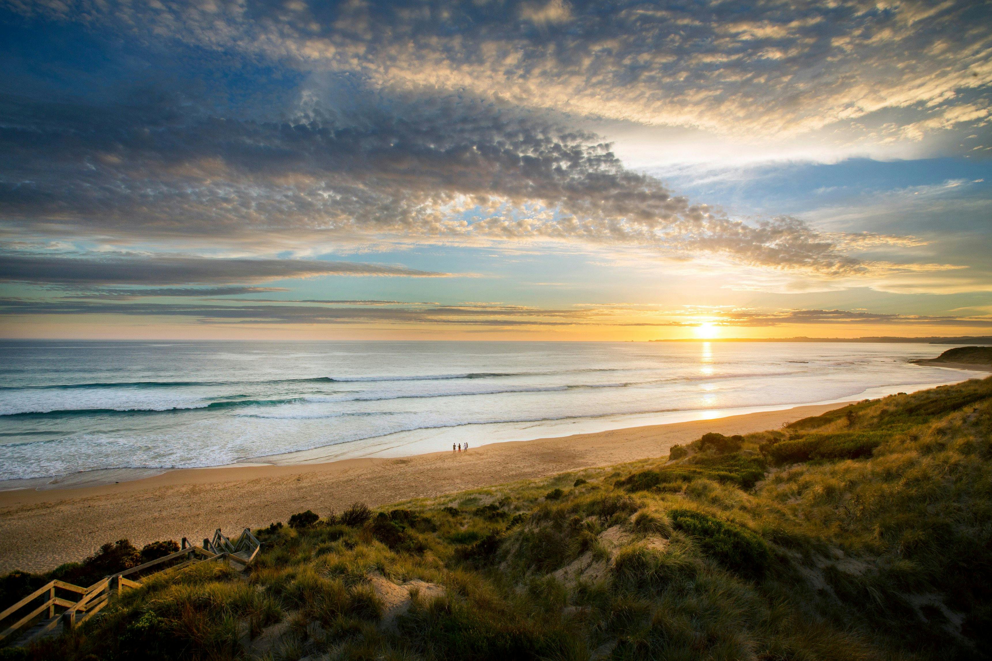 Phillip Island Penguin Exclusive Private Tour