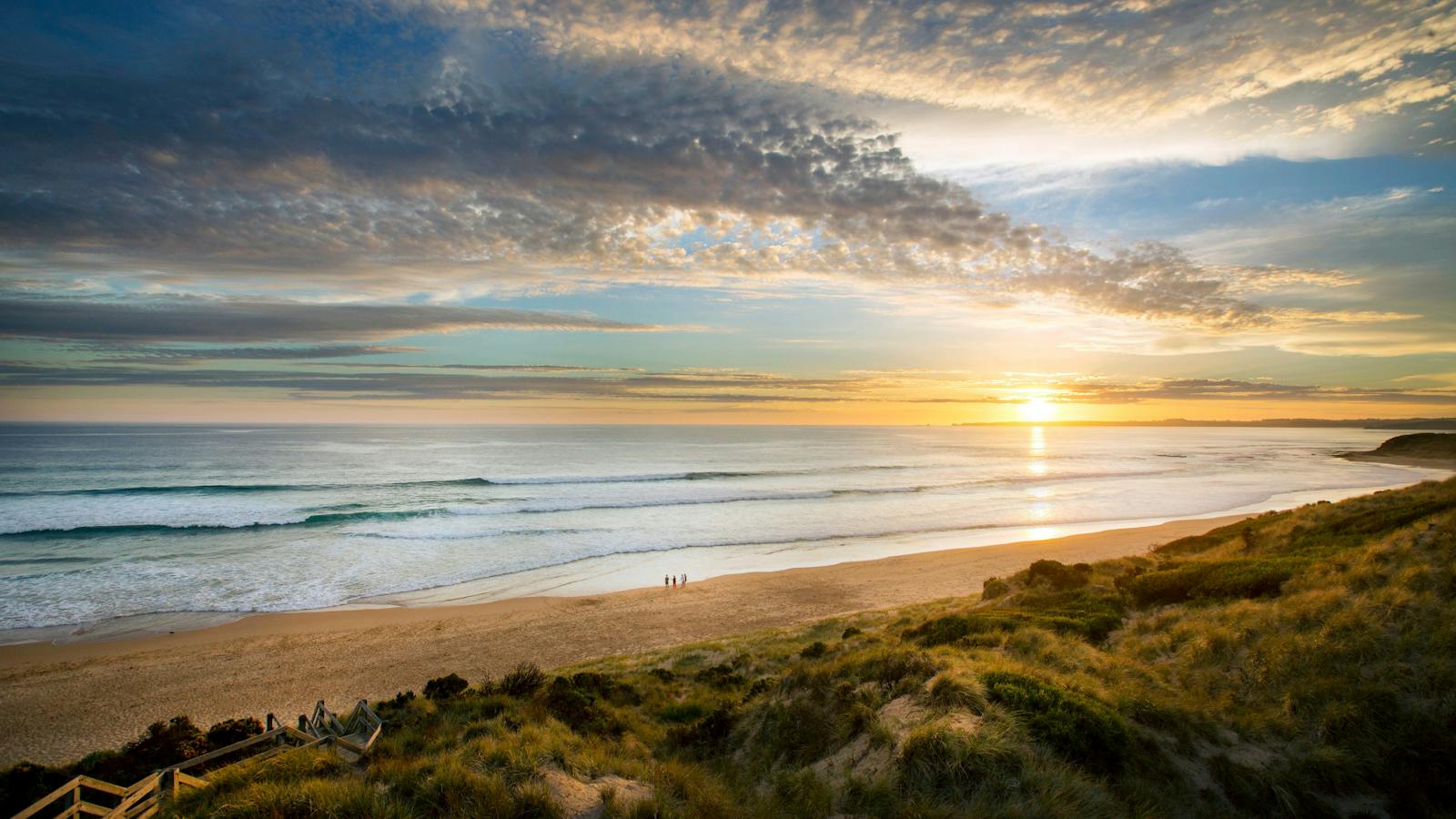 Phillip Island Penguin Exclusive Private Tour