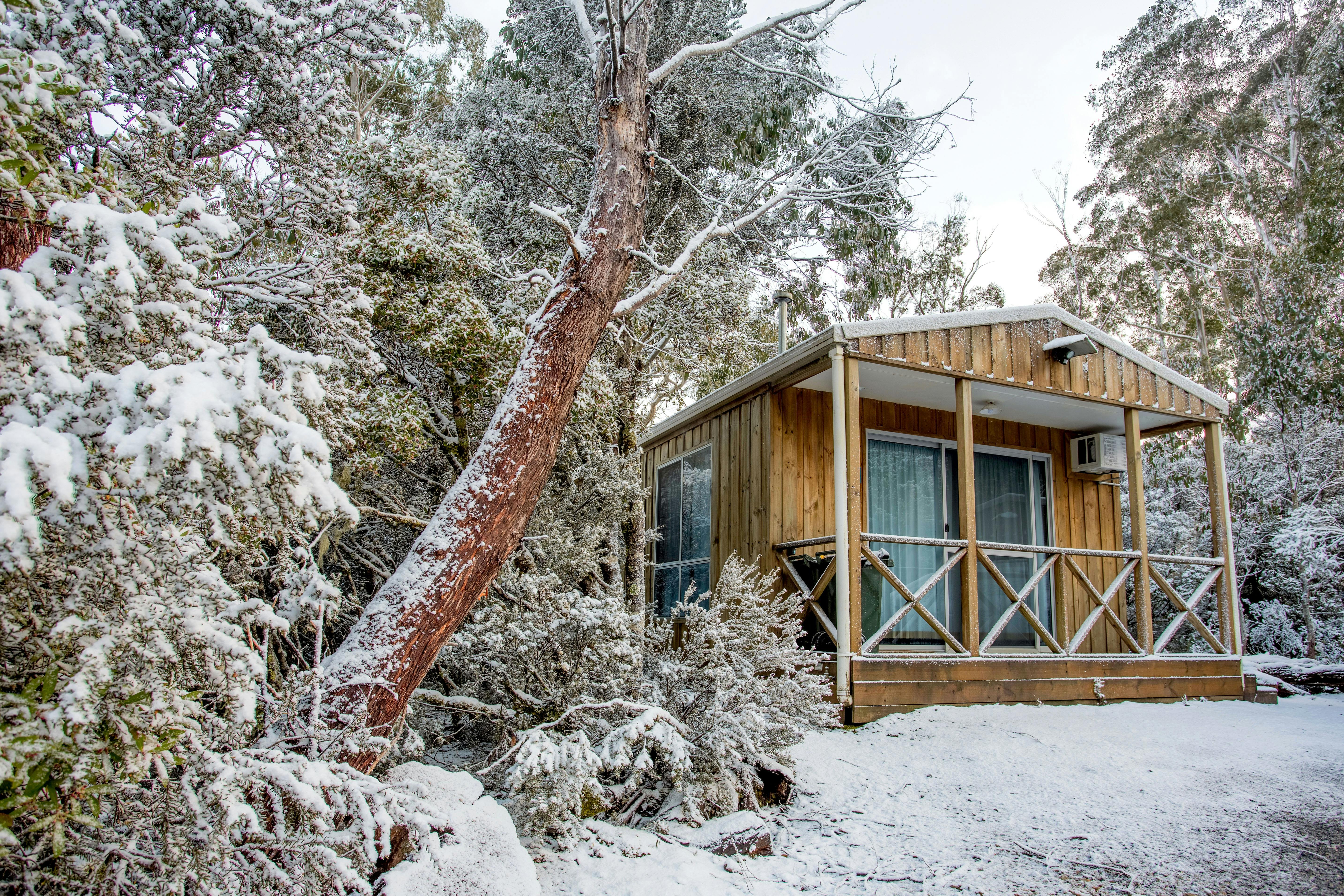 Chalets: Save 25% image