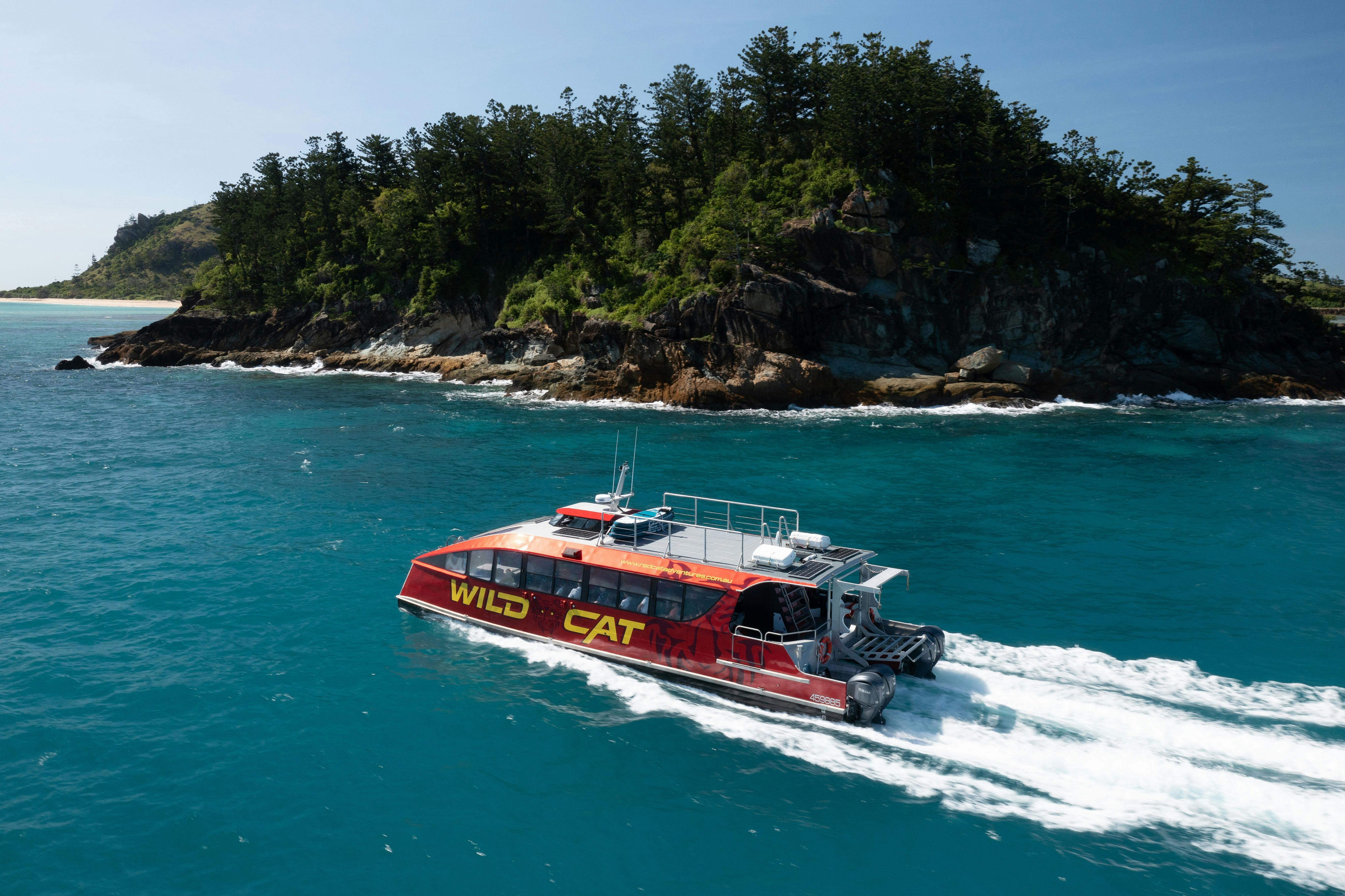 Wildcat Mackay - Vessel In Motion