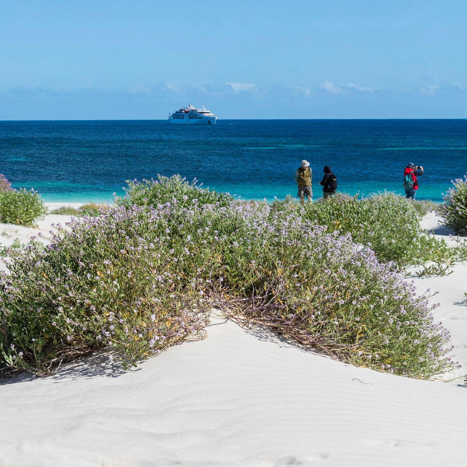 Flinders Island