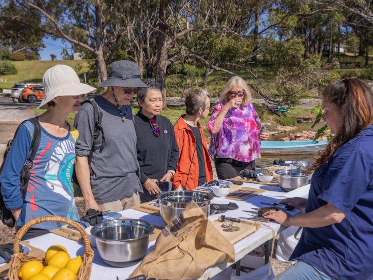 Oyster school - Learn, shuck, taste, slurp