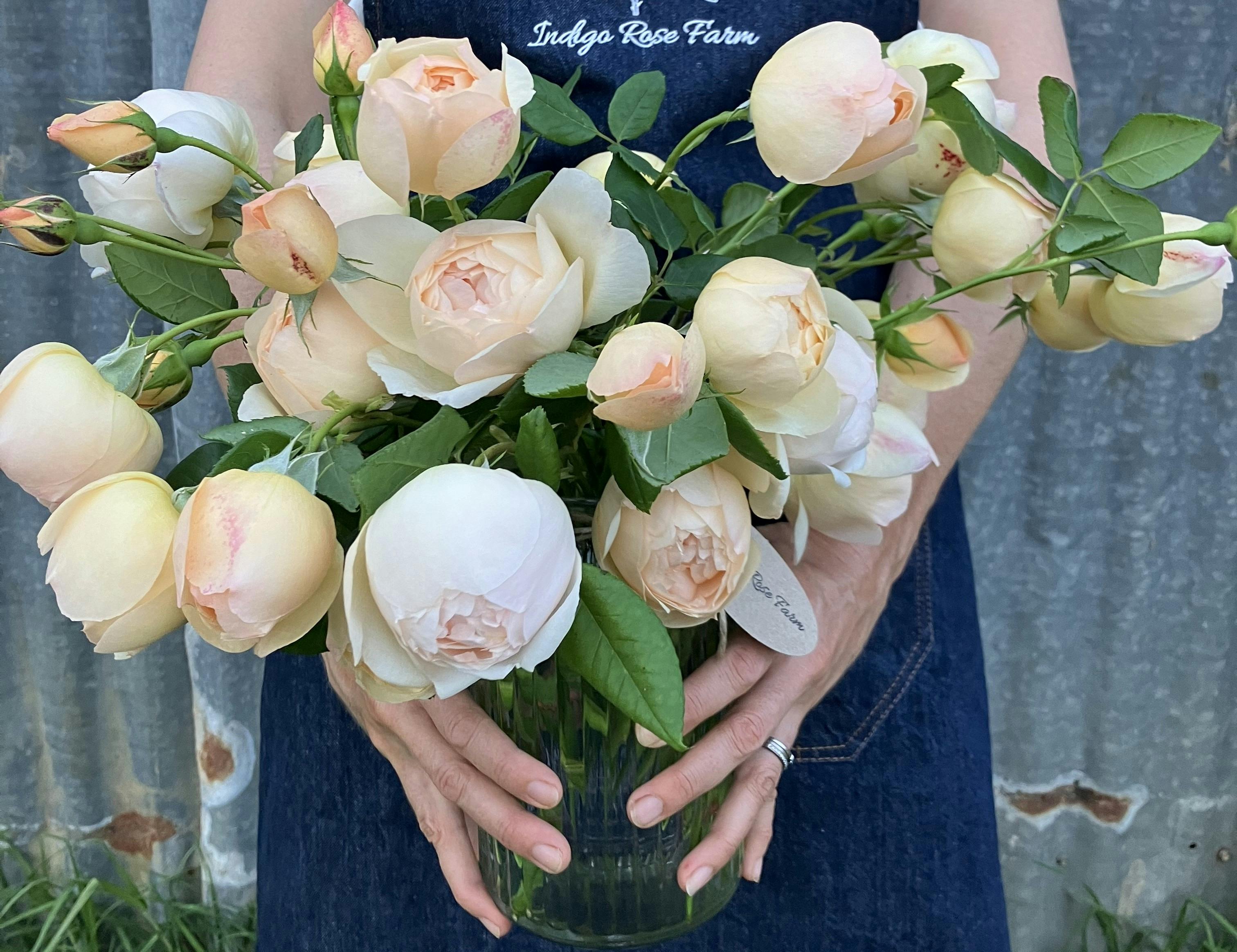 Paddock Posies