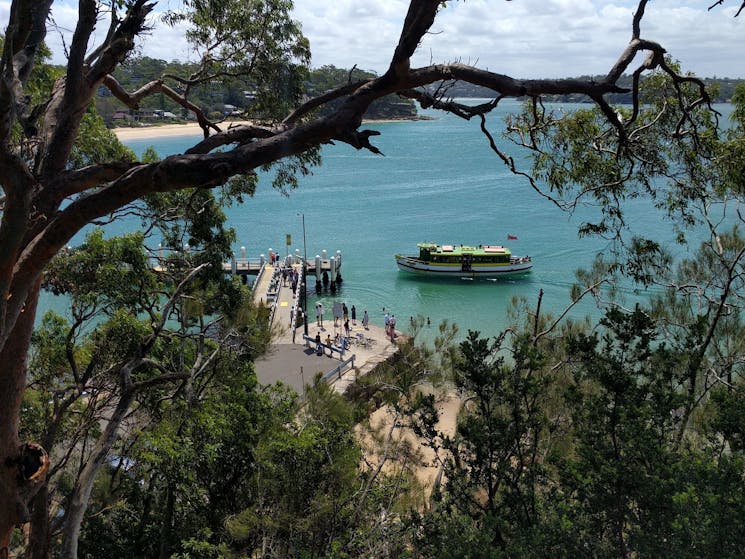 Bundeena Coastal Bush Walk