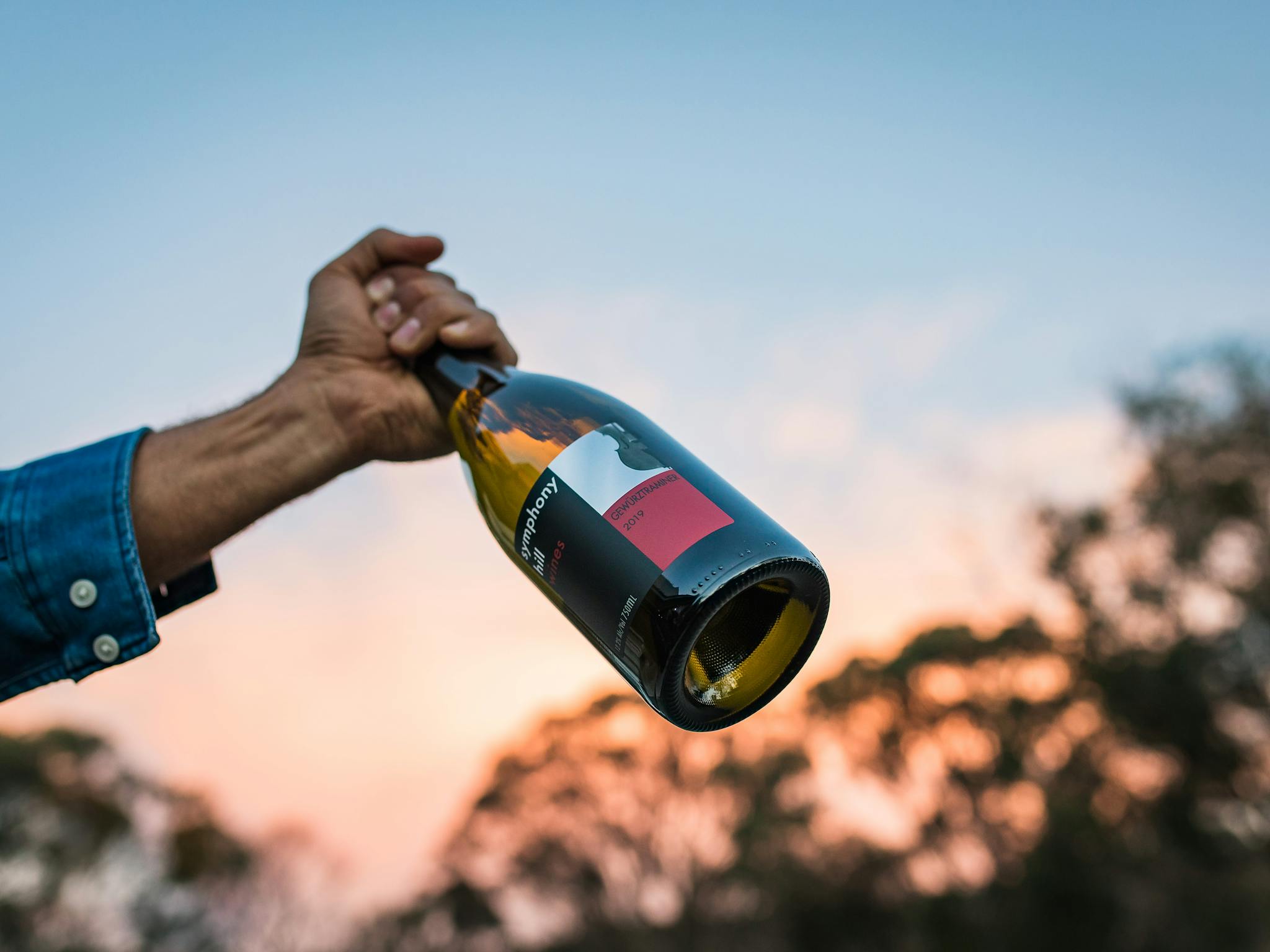 Gewurztraminer at sunset Gewurztraminer at sunset