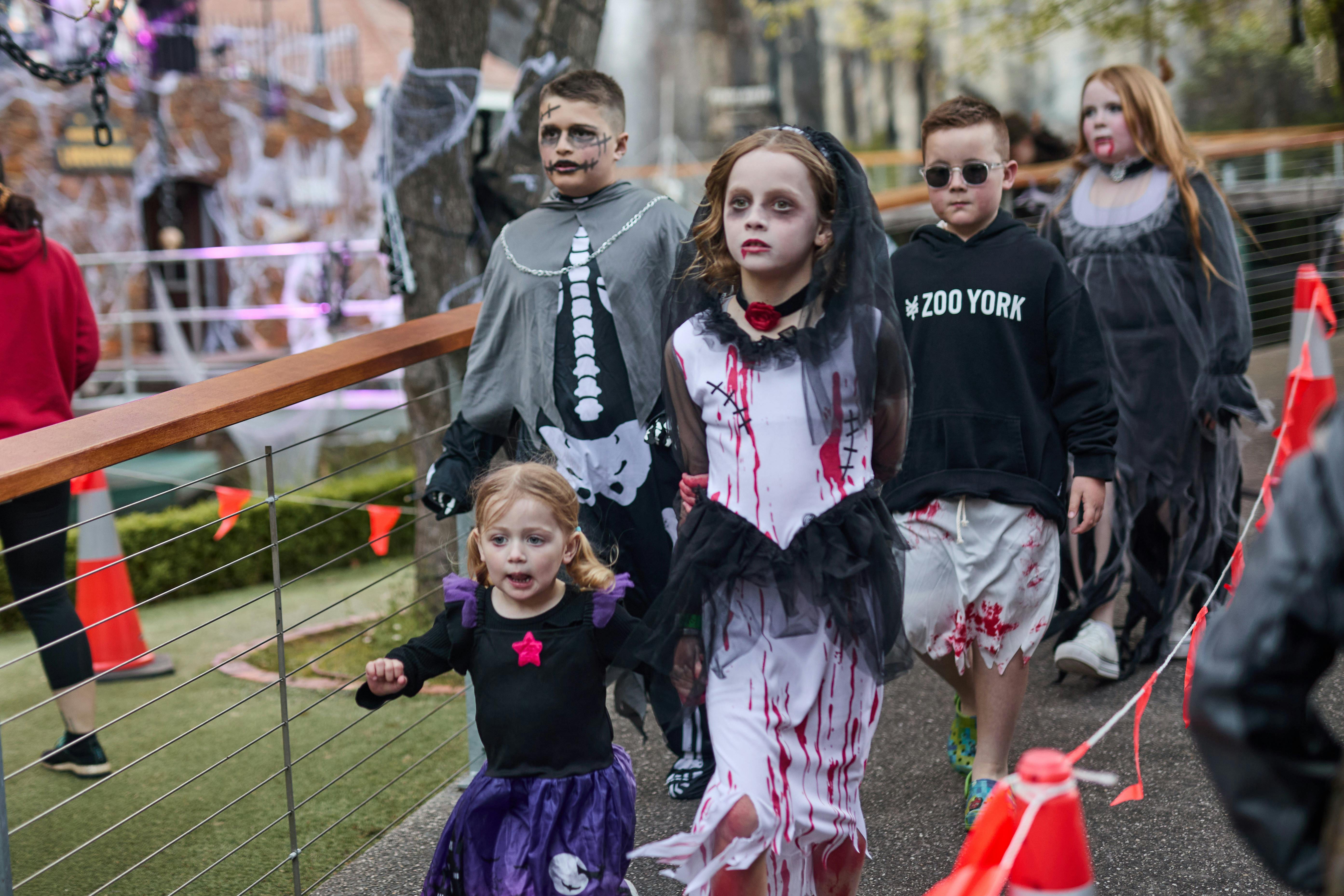 halloween trick or treaters