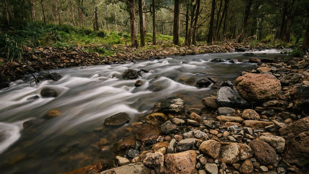 Creek flowing at Adjinbilly Retreat