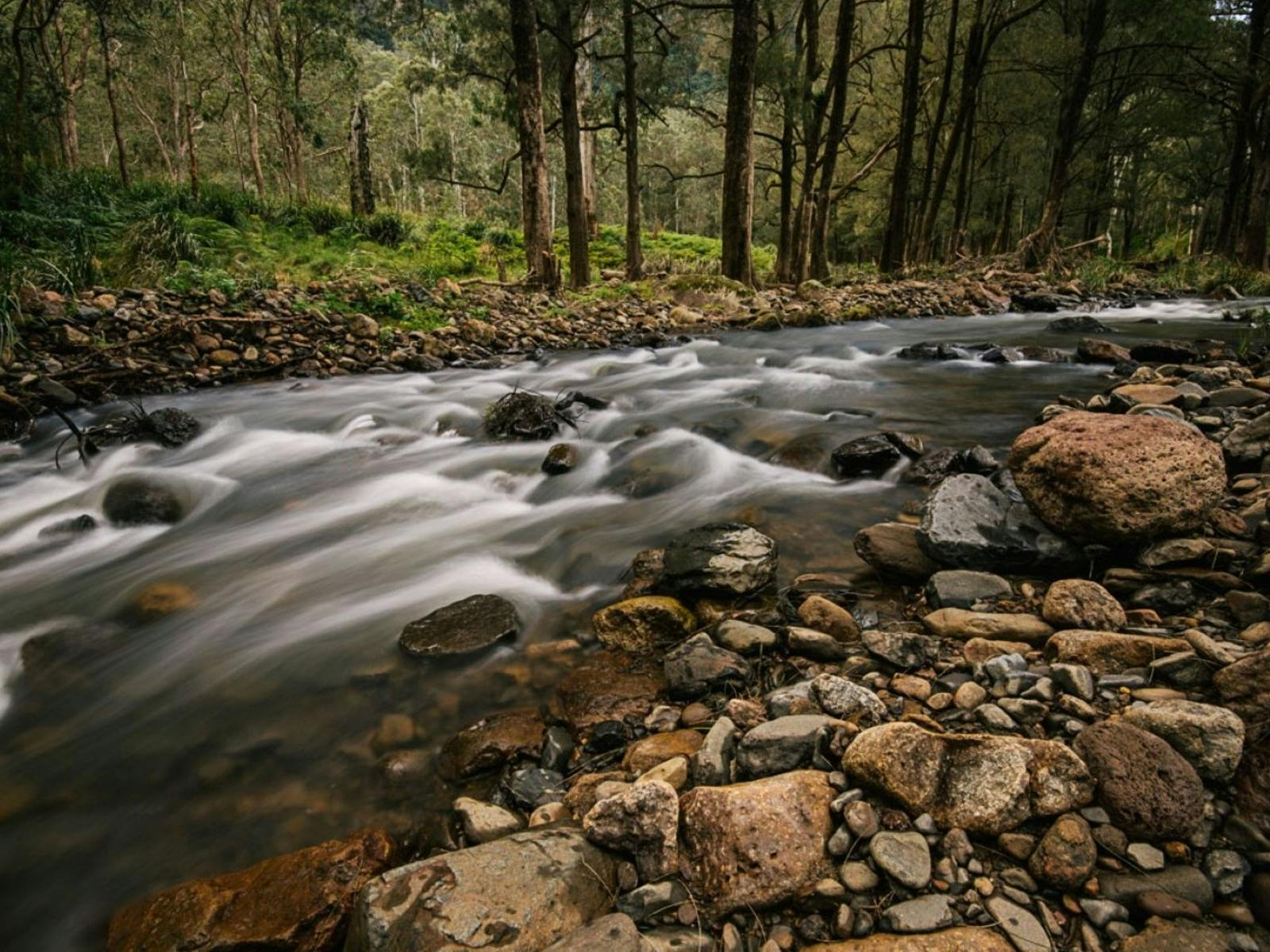 Creek flowing at Adjinbilly Retreat Creek flowing at Adjinbilly Retreat
