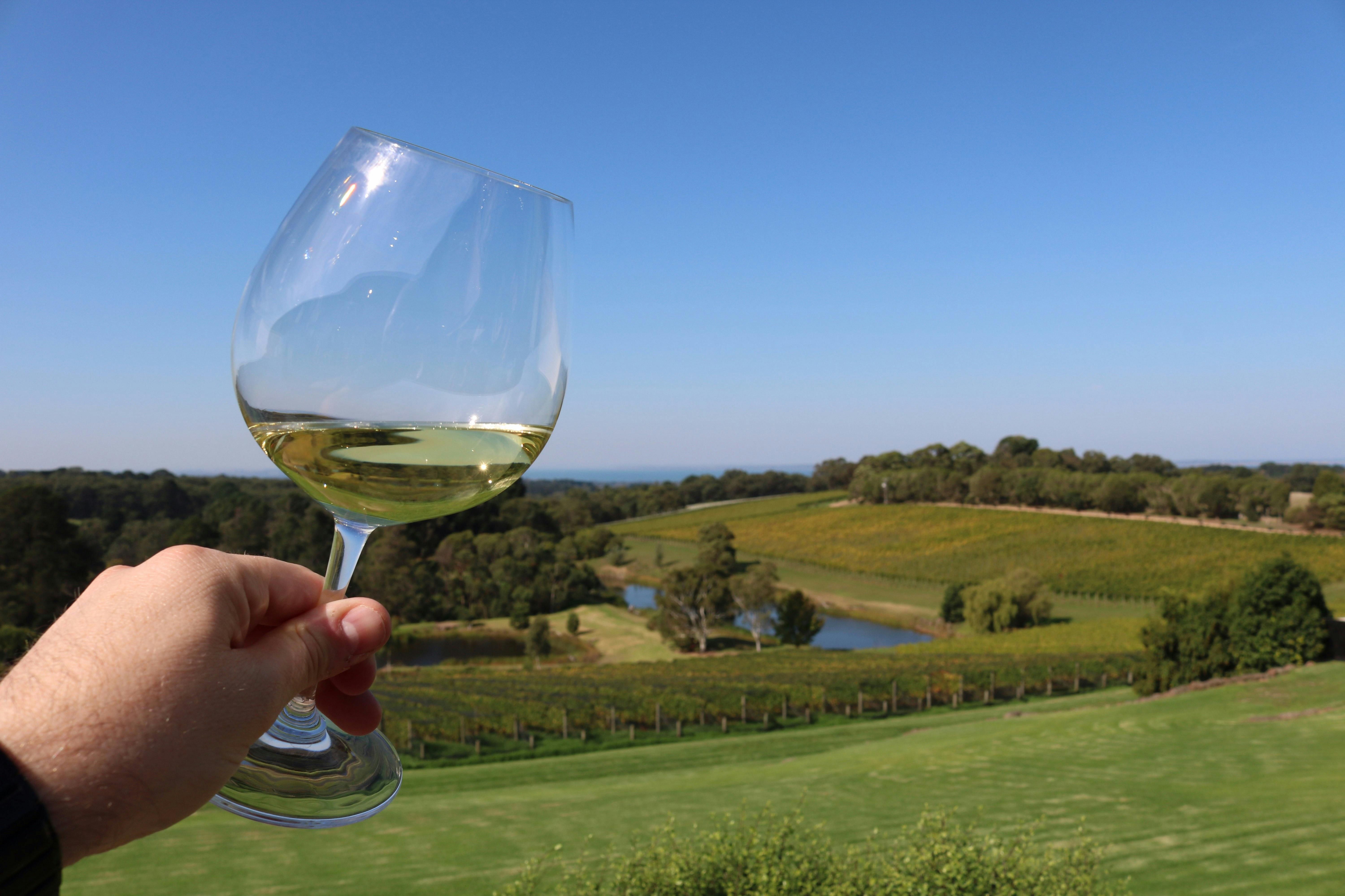 Wine Tasting Mornington Peninsula