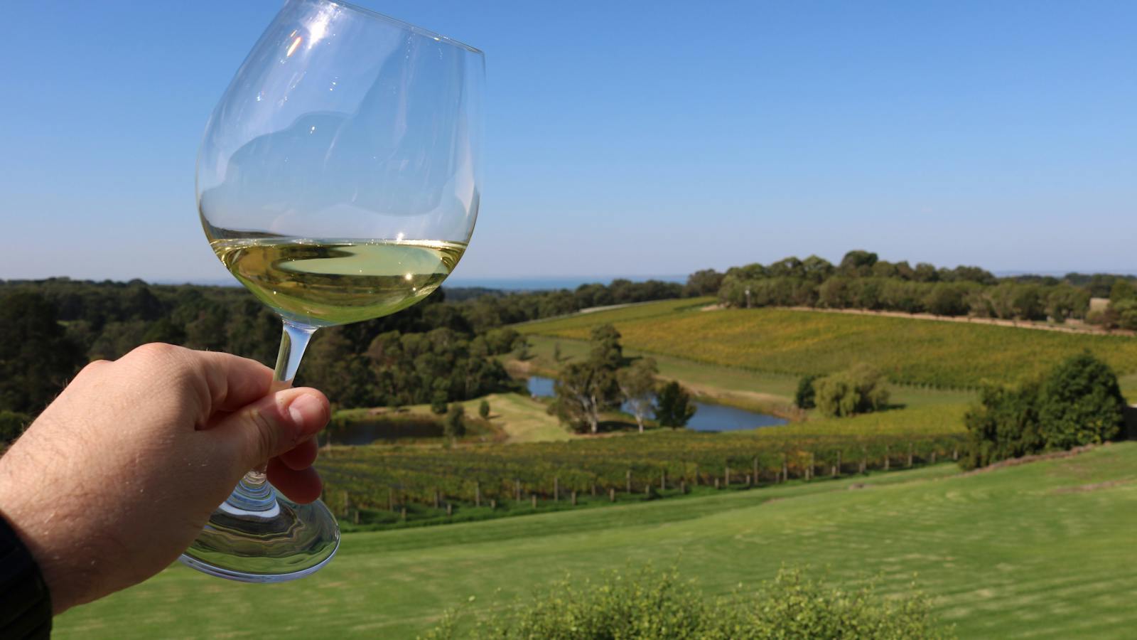 Wine Tasting Mornington Peninsula
