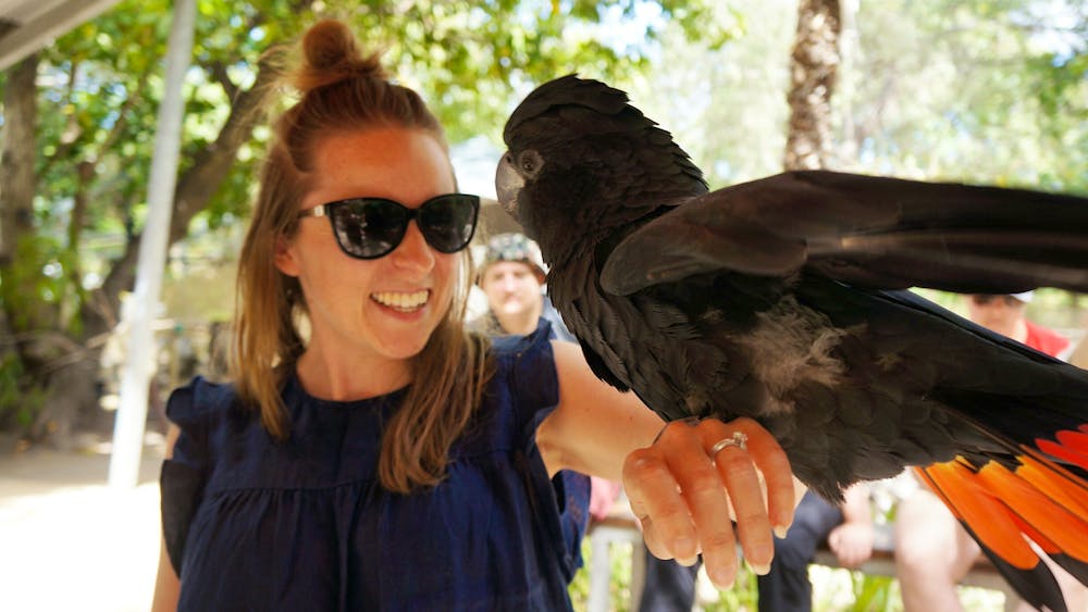 Bungalow Bay Wildlife Experience
