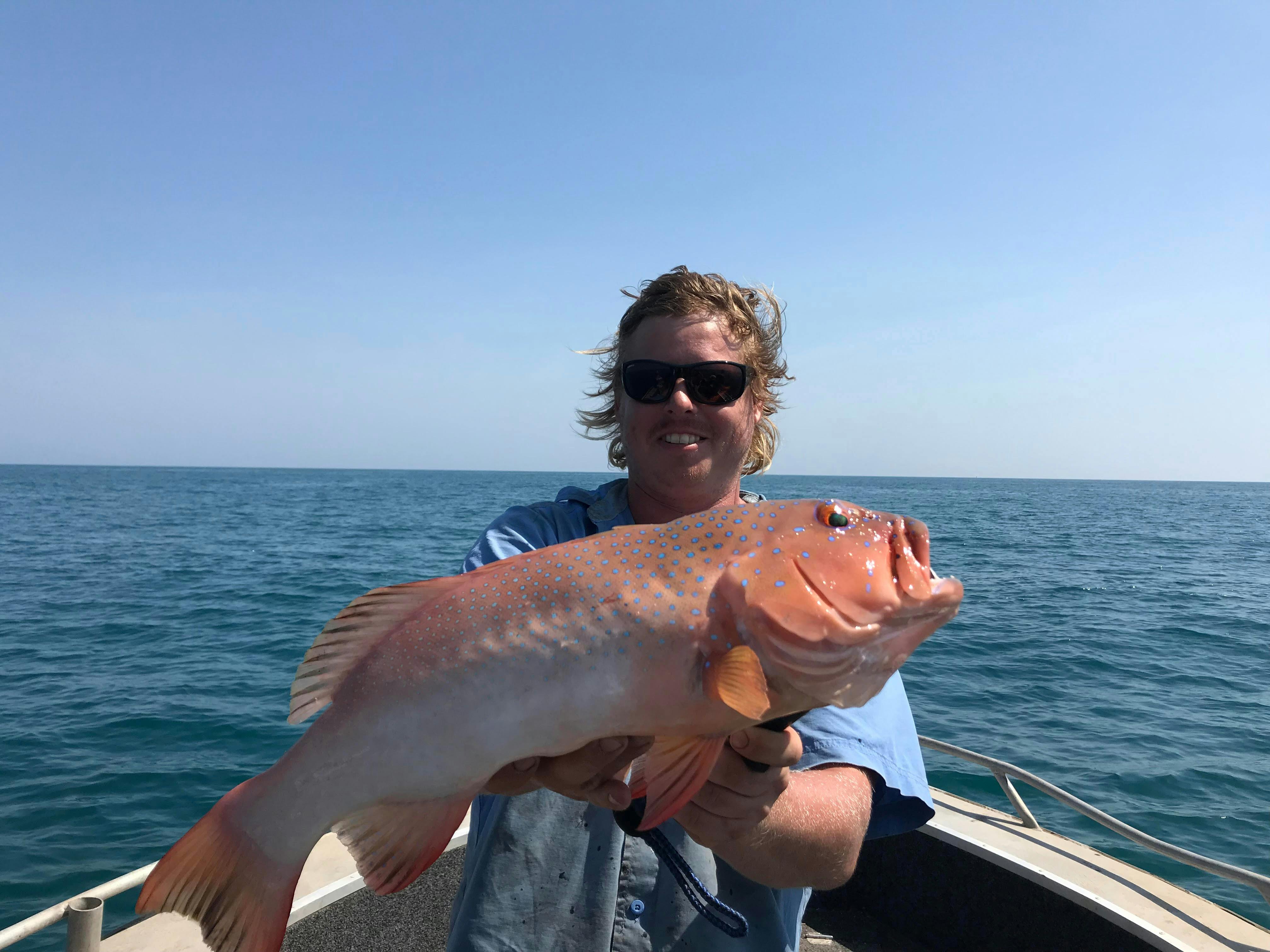 beautiful coral trout