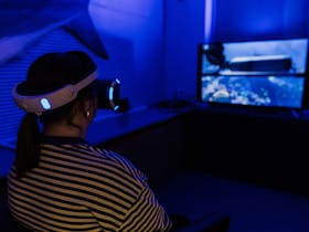 VR Shark Cage Dive