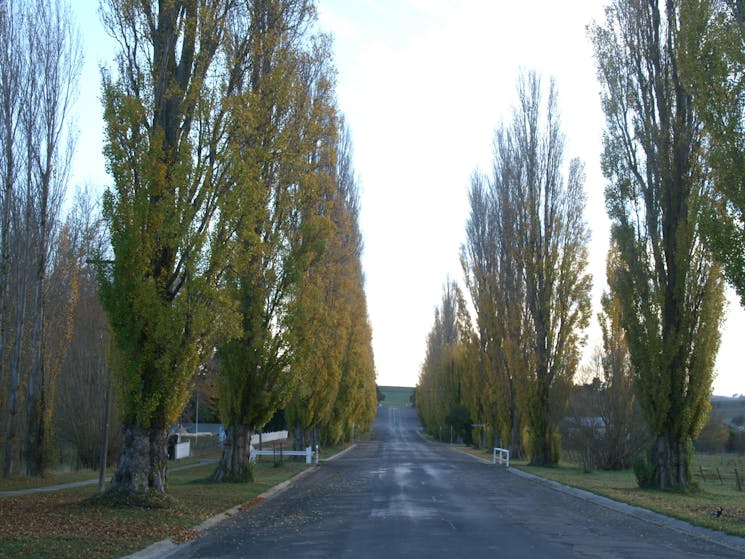 Taralga Main Street