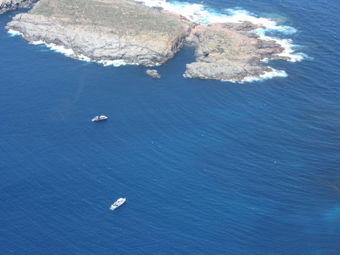 Neptune Islands Conservation Park Adelaide, Attraction SA Tourism