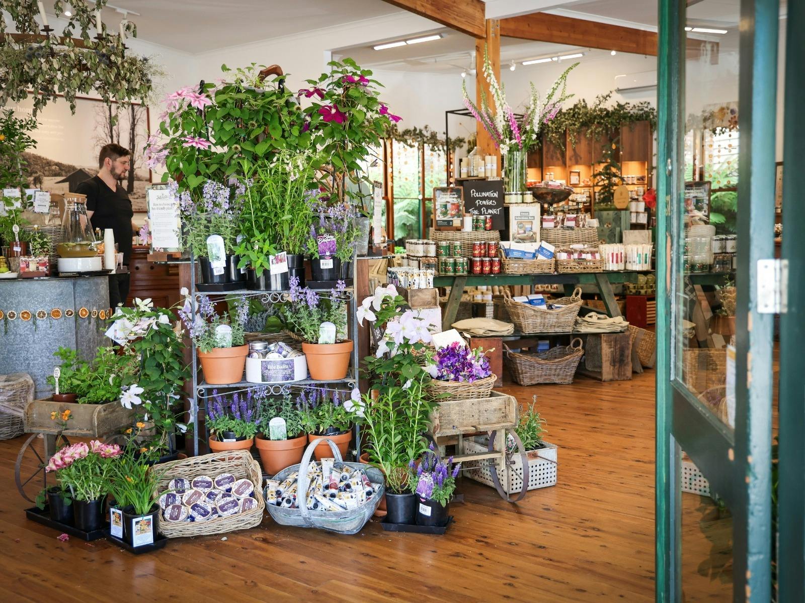 Flowers on display