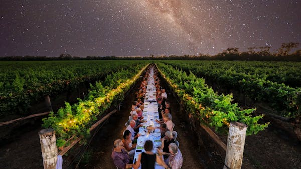 Riversands Long Table in the Vines