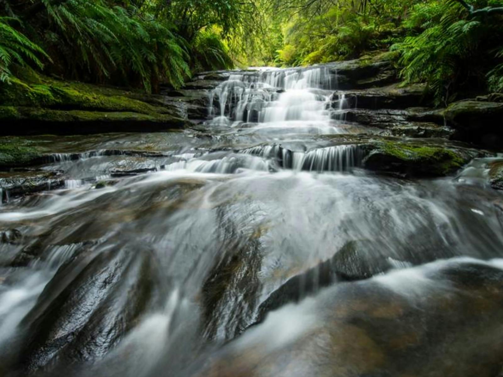 blue mountain walk 5