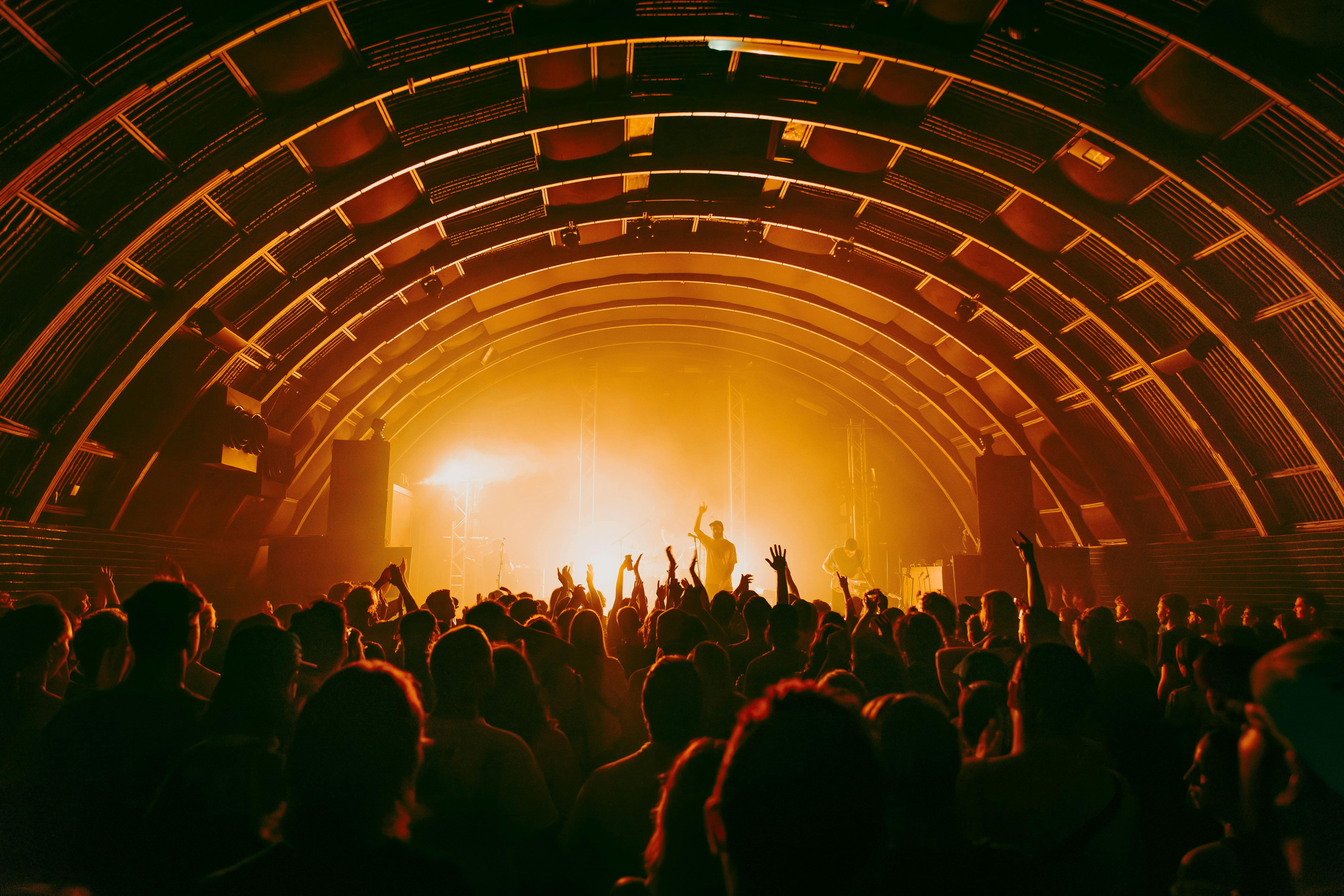 10 Years of the Triffid - Bangar in the Hangar