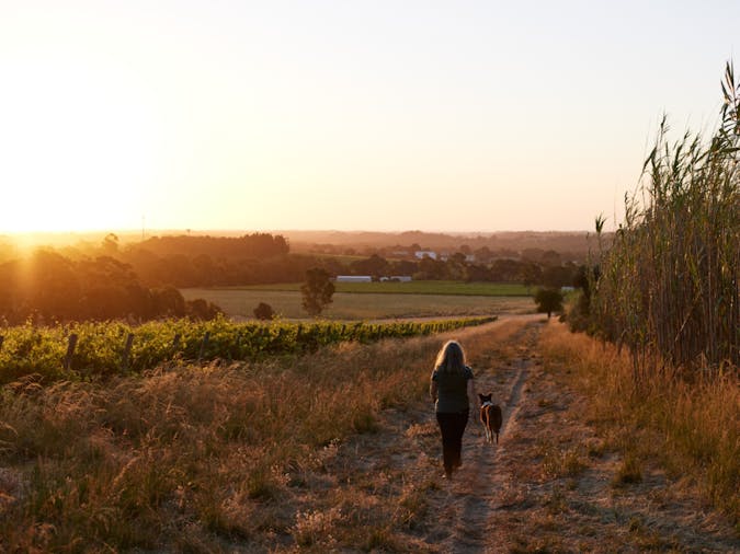Gemtree Wines Wine & Wander Tour