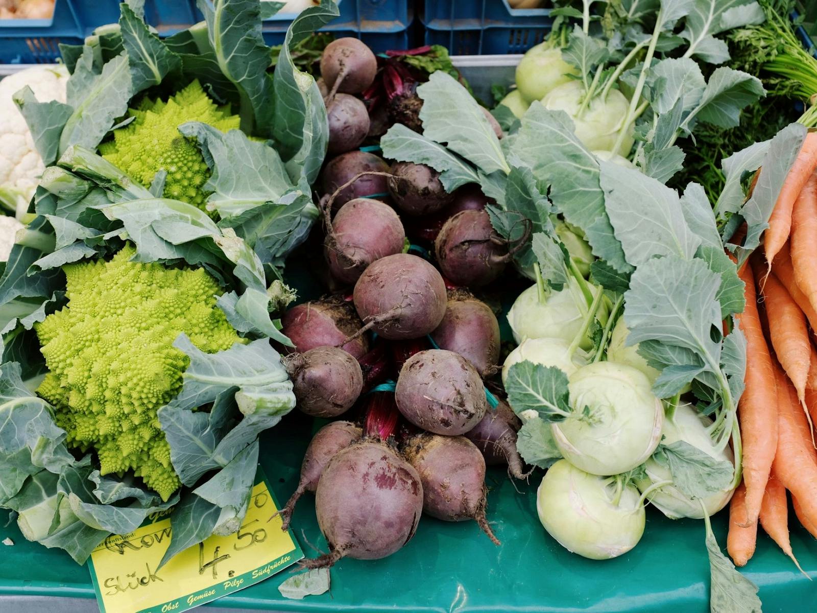 Image for Preparing for a Winter Vegetable Garden