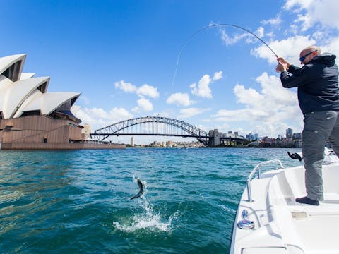 sydney harbour fishing tours