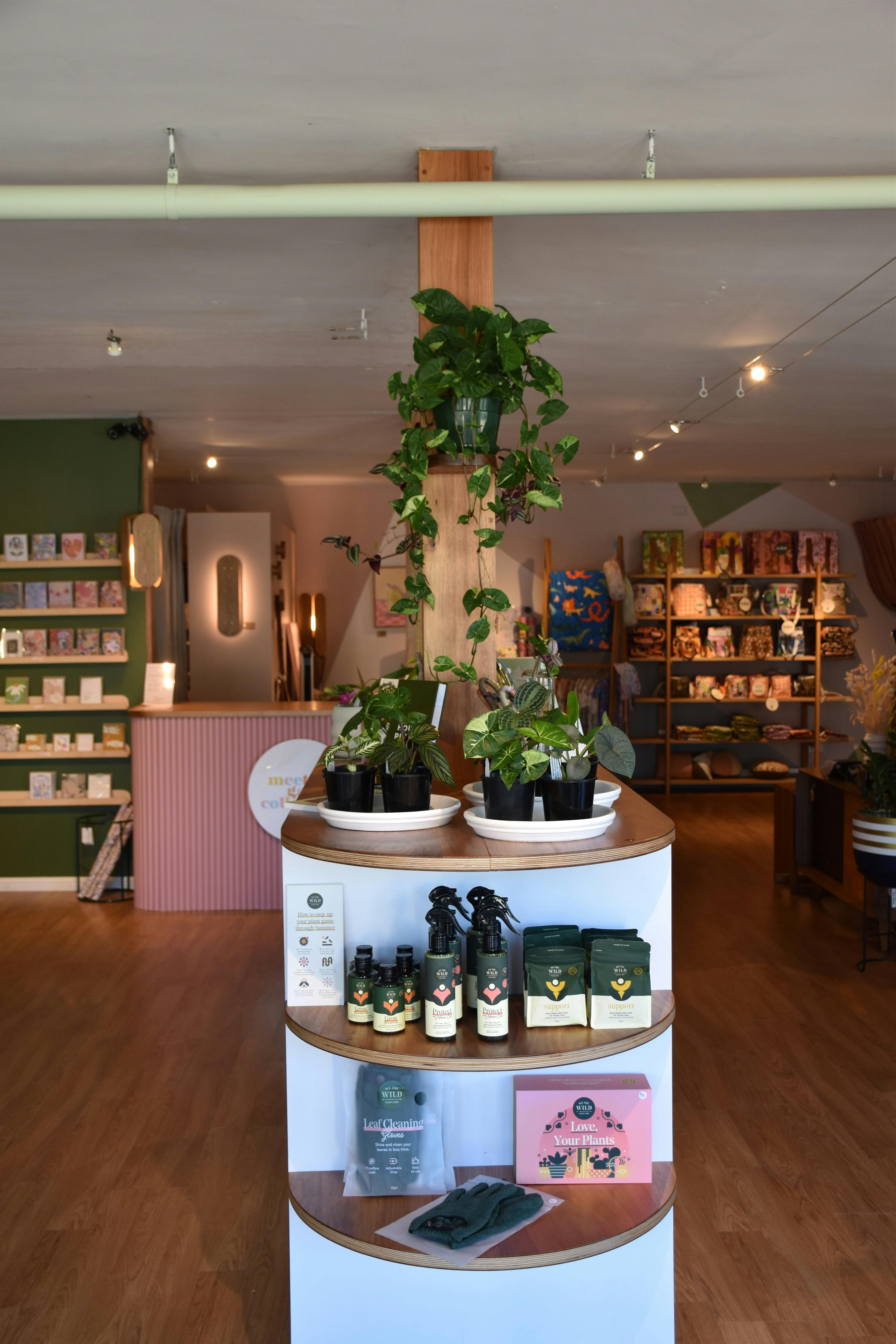 Beautiful newly renovated store full of amamzing plants and much more