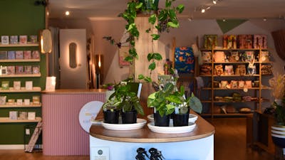 Beautiful newly renovated store full of amamzing plants and much more